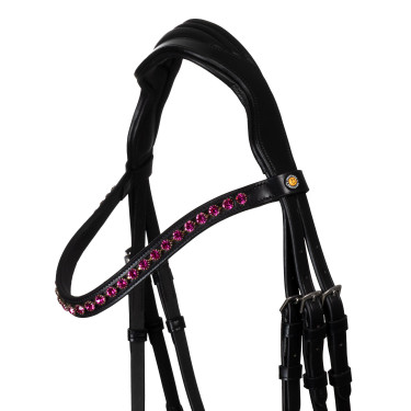 Bridon Equestro anatomique avec pierres Fuchsia Noir Bridon Equestro anatomique avec pierres Fuchsia Noir