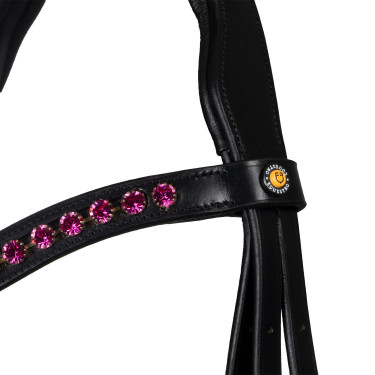 Bridon Equestro anatomique avec pierres Fuchsia Noir Bridon Equestro anatomique avec pierres Fuchsia Noir