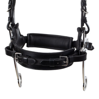 Bridon hackamore Supreme Noir