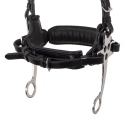 Bridon hackamore Supreme Noir