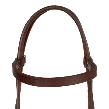 Bridon western Pool's Quick Change à frontal droit Huilé