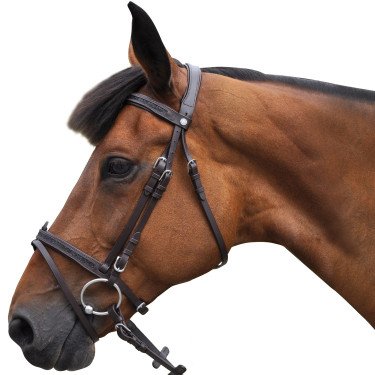 Bridon Canter Black strass Bridon Canter Black strass