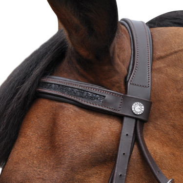Bridon Canter Black strass Bridon Canter Black strass