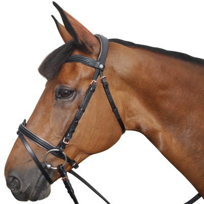 Bridon Canter ROSE GOLD Noir