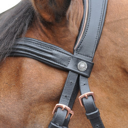 Bridon Canter ROSE GOLD Marron