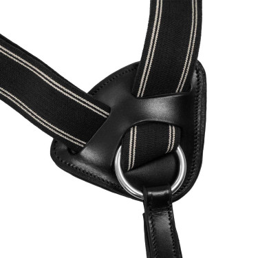 Collier de chasse Supreme 5 points Noir Collier de chasse Supreme 5 points Noir