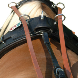 Guides cuir harnais en paire Chetak Newmarket Marron Guides cuir harnais en paire Chetak Newmarket Marron