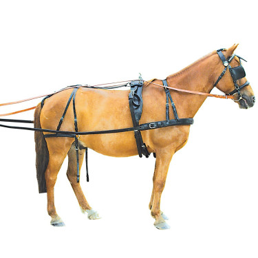 Harnais continental Chetak Harnais continental Chetak