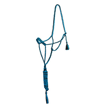 Licol corde Pool’s nez large avec longe Turquoise / noir Bleu