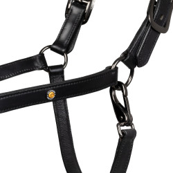 Licol en cuir Equestro anatomique Diamond Noir