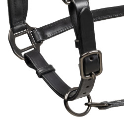 Licol en cuir Equestro anatomique Diamond Noir
