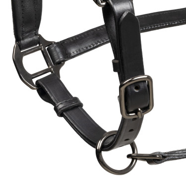 Licol en cuir Equestro anatomique Diamond Noir