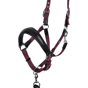 Licol ergonomique Equestro avec inserts en cuir Noir / bordeaux