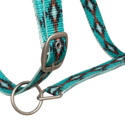 Licol nylon Pool’s motif Navajo Turquoise Bleu Licol nylon Pool’s motif Navajo Turquoise Bleu