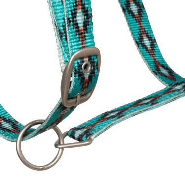 Licol nylon Pool’s motif Navajo Turquoise Bleu Licol nylon Pool’s motif Navajo Turquoise Bleu