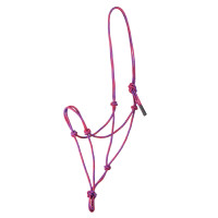 Licol Pool’s motif Waves Rose / violet