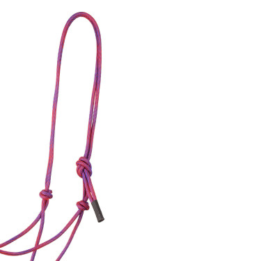 Licol Pool’s motif Waves Rose / violet