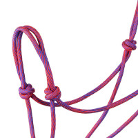 Licol Pool’s motif Waves Rose / violet