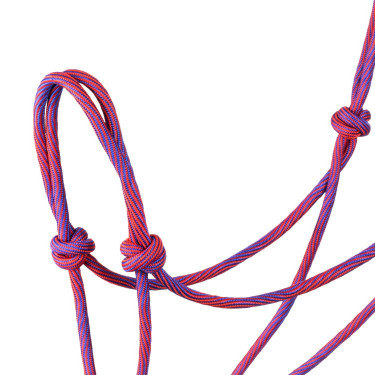 Licol Pool’s motif Waves Rose / violet