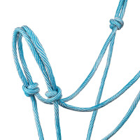 Licol Pool’s motif Waves Bleu ciel / turquoise Licol Pool’s motif Waves Bleu ciel / turquoise