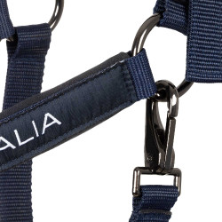 Licols Equestro x FISE doublé et réglable