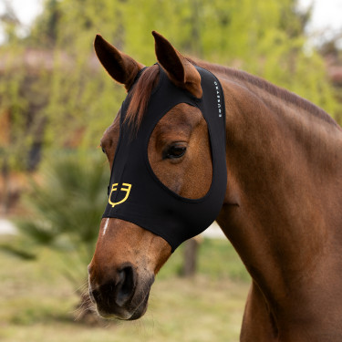 Masque anti-mouches Equestro en élasthanne sans oreilles filet pour yeux Masque anti-mouches Equestro en élasthanne sans oreilles filet pour yeux