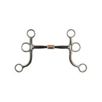 Mors western Pool’s inox tiges cuivre plates