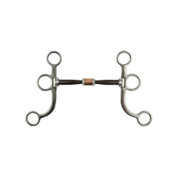 Mors western Pool’s inox tiges cuivre plates Mors western Pool’s inox tiges cuivre plates