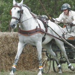 Bricole Anatomique Eric Le Tixerant Double noir