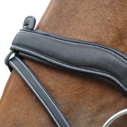 Bridon Flags & Cup Comfort combiné Marron