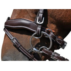 Bridon Flags & Cup Copenhague Marron