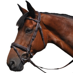 Bridon Flags & Cup Doha Marron