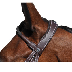 Bridon Flags & Cup Doha Marron