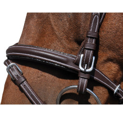 Bridon Flags & Cup Doha Marron