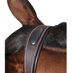 Bridon Flags & Cup Doha Marron