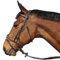 Bridon Flags & Cup Oslo Marron / camel