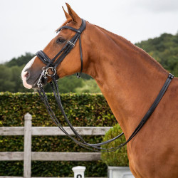 Bride Dy'on collection dressage cuir plat Muserolle Large Vernie