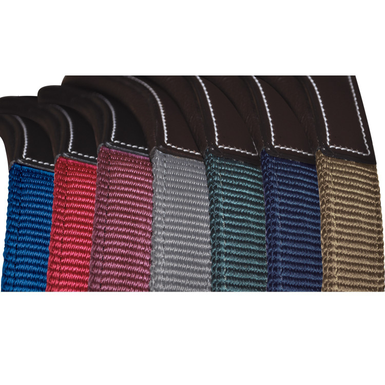 Licol Flags & Cup Nylon/cuir Licol Flags & Cup Nylon/cuir
