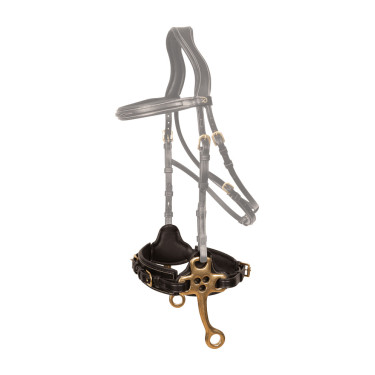 Hackamore Dy'on Noir Hackamore Dy'on Noir