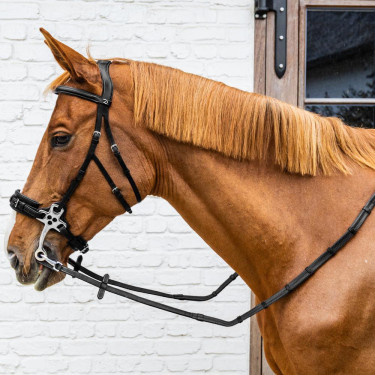 Rênes en Caoutchouc 5/8" Dy'on collection Working avec Arrêtoirs en Cuir et Mousqueton