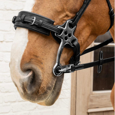 Rênes en Caoutchouc 5/8" Dy'on collection Working avec Arrêtoirs en Cuir et Mousqueton