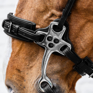 Hackamore Dy'on New English