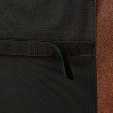 Bande de Respect Kentucky Horsewear