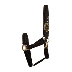 Licol 3D Mesh Kentucky Noir