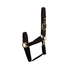 Licol 3D Mesh Kentucky