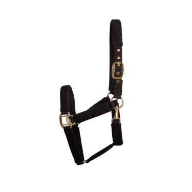 Licol 3D Mesh Kentucky