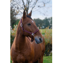 Licol Nylon Spring Equithème Bordeaux