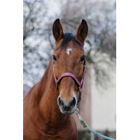 Licol Nylon Spring Equithème Rose Licol Nylon Spring Equithème Rose