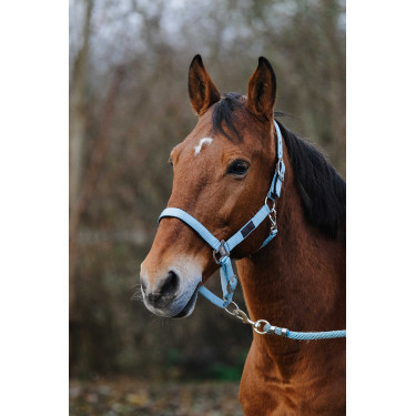 Licol Nylon Spring Equithème Turquoise Bleu