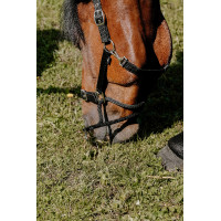 Licol Norton Educatif Noir Licol Norton Educatif Noir